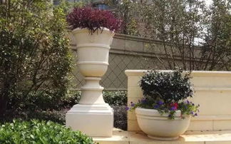 花崗巖花缽也可以設(shè)計(jì)的這么美 40例