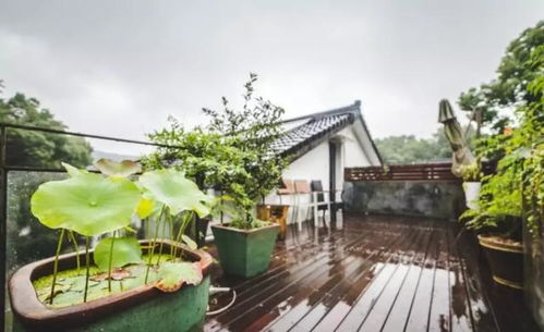 杭州西湖景區一家藝術氣息日式精品民宿,偷得浮生半日閑