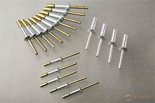 遠(yuǎn)大金屬制品 專(zhuān)業(yè)拉絲鉚釘批發(fā)廠家