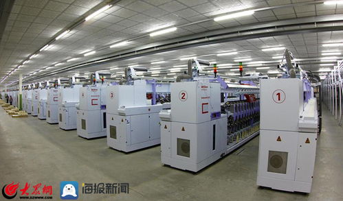 泰山區(qū)上高街道 項目建設(shè)點燃新舊動能轉(zhuǎn)換助推器，技術(shù)開發(fā)引領(lǐng)高質(zhì)量發(fā)展